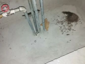 垦利卫生间测漏水价格明细