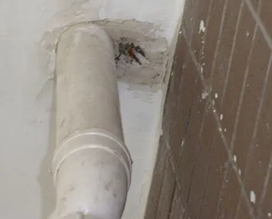 垦利漏水检测哪家好